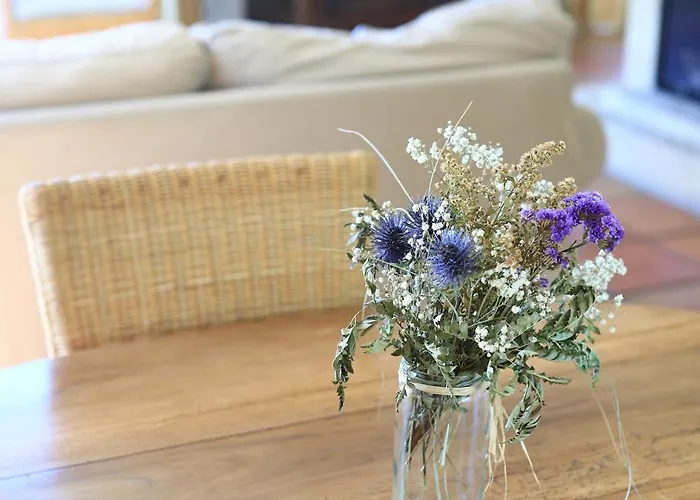 Feriehus De Labadie Lautrec